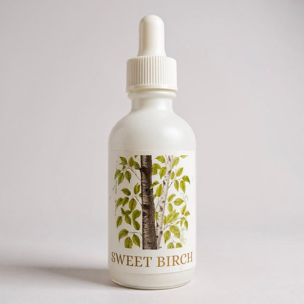 Sweet Birch Extract