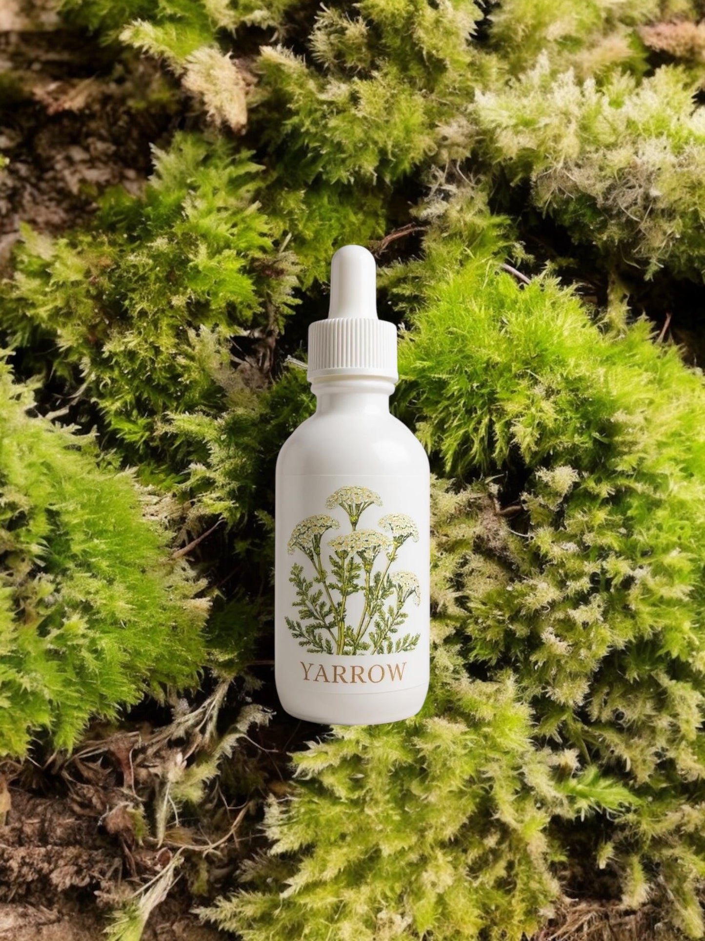 Yarrow Extract