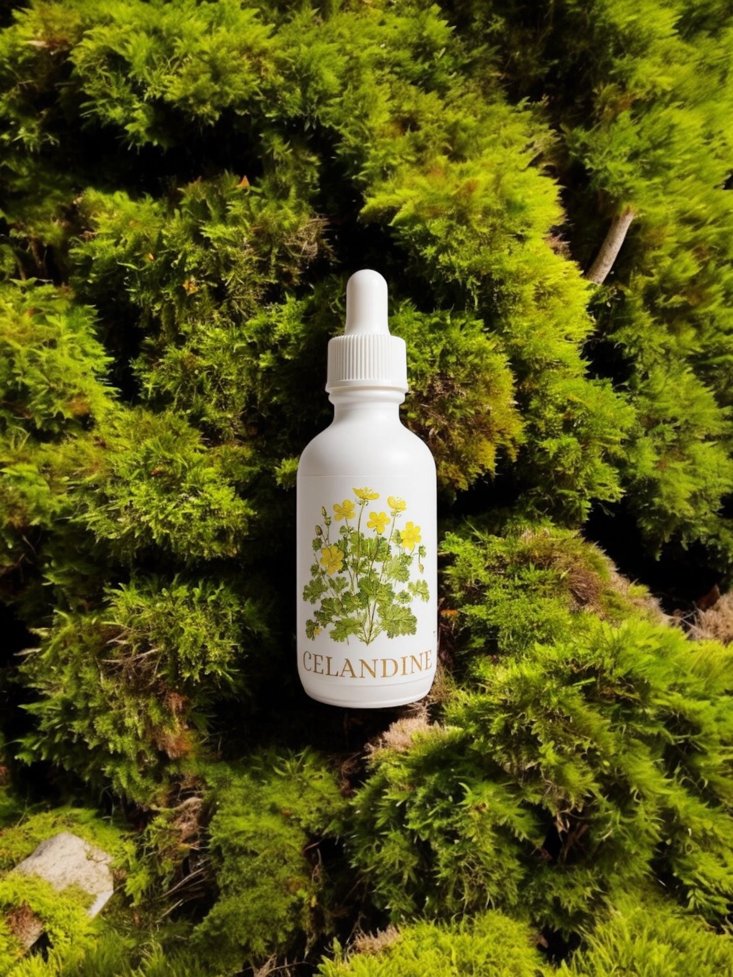 Greater Celandine Extract
