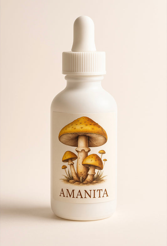 Amanita Var. Geussowii Extract
