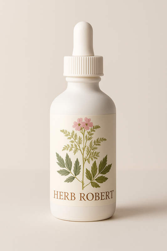 Herb Robert Extract