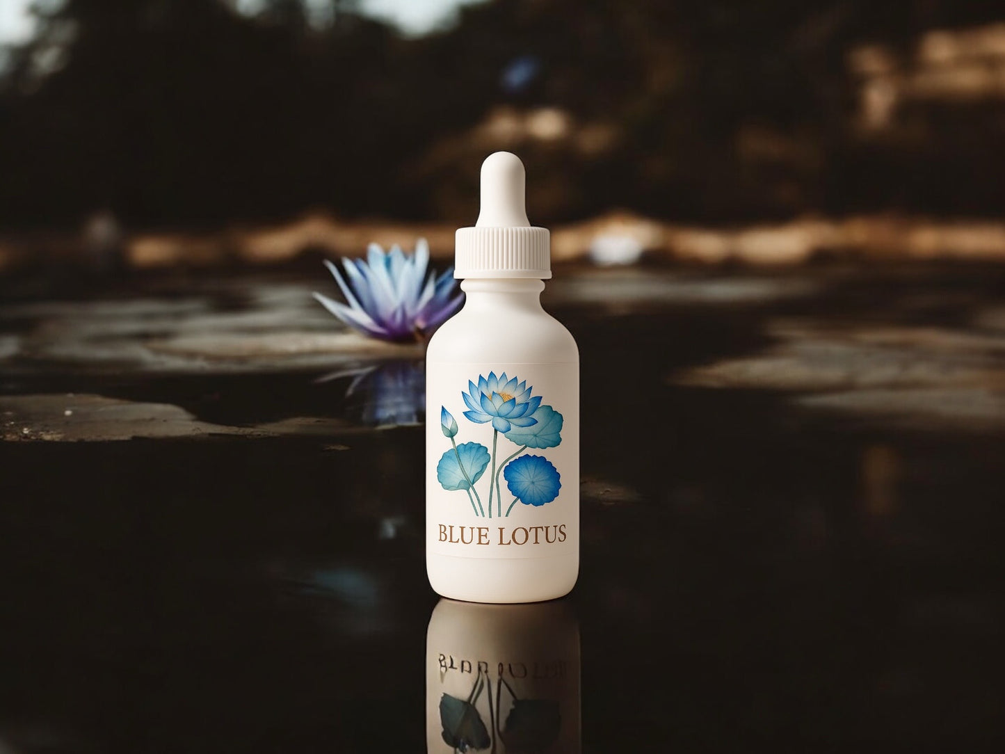 Blue Lotus Extract