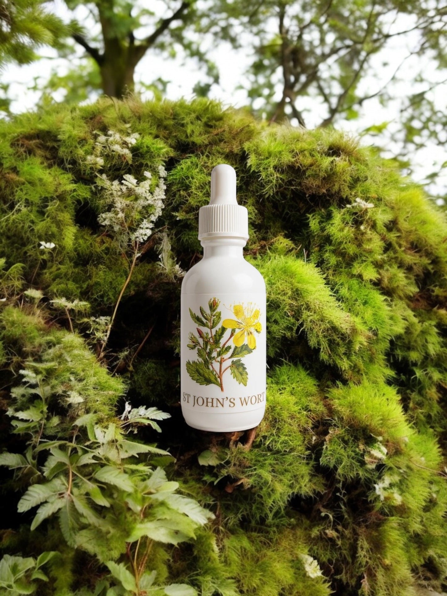St. John's Wort Extract